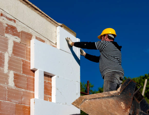 Best Local Insulation Services  in Carson City, NV
